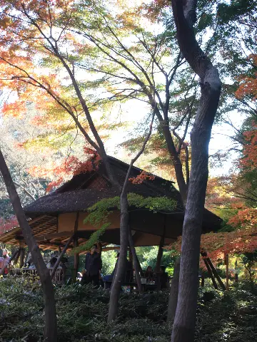 六義園 073.JPG